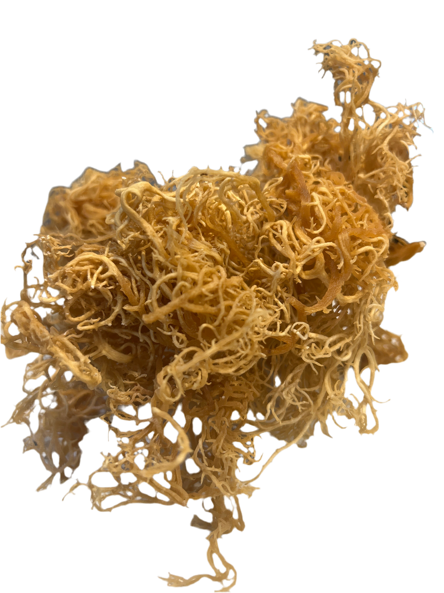 2oz (St. Lucia Wildcrafted Gold Raw Sea Moss)